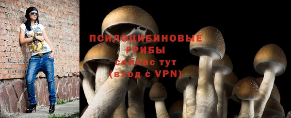 герыч Абаза