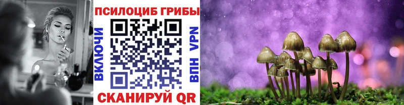 Псилоцибиновые грибы Psilocybine cubensis  Лебедянь 