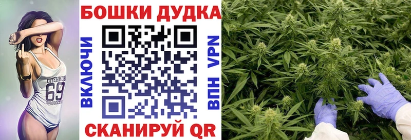 Бошки марихуана Ganja  что такое наркотик  блэк спрут tor  Лебедянь 